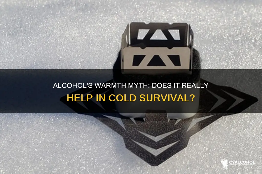 does alcohol warm you up survival