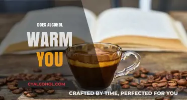 Alcohol's Heat Myth: Does It Really Warm You Up?
