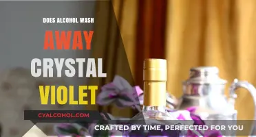 Alcohol's Effect on Crystal Violet: Does It Really Wash It Away?