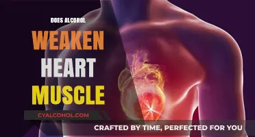 Exploring the Effects of Alcohol on Heart Muscle Strength