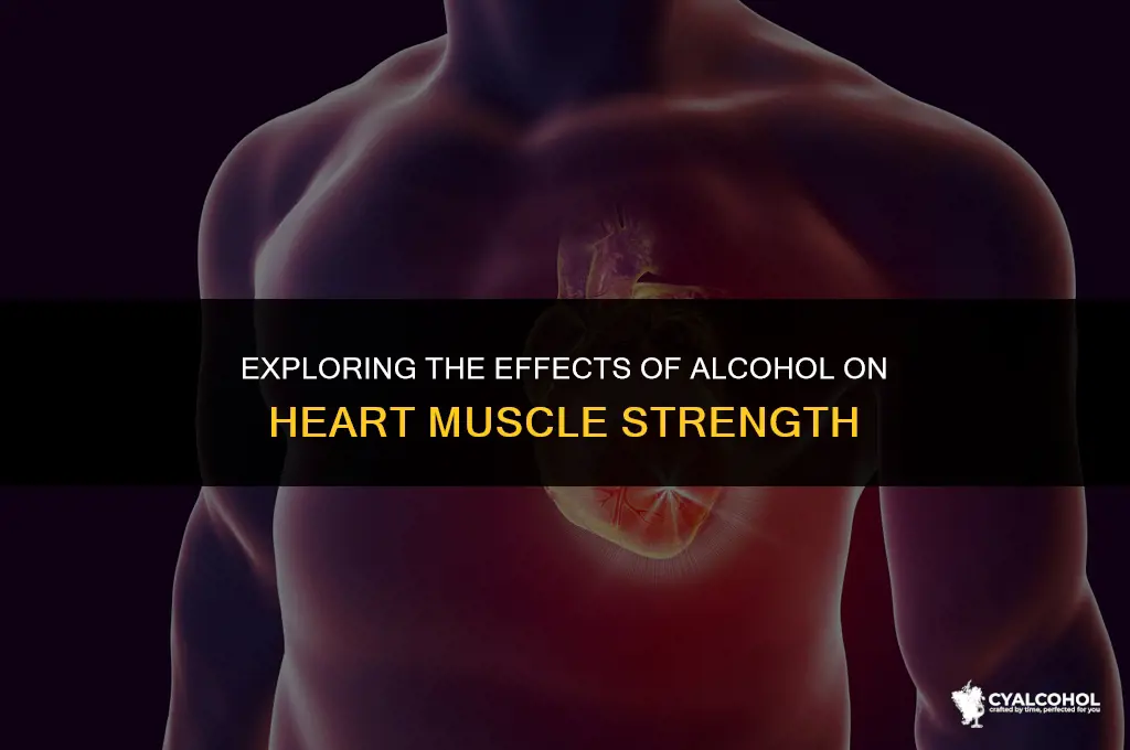 does alcohol weaken heart muscle