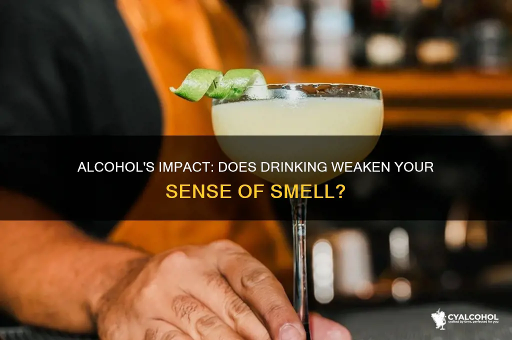 does alcohol weaken smell