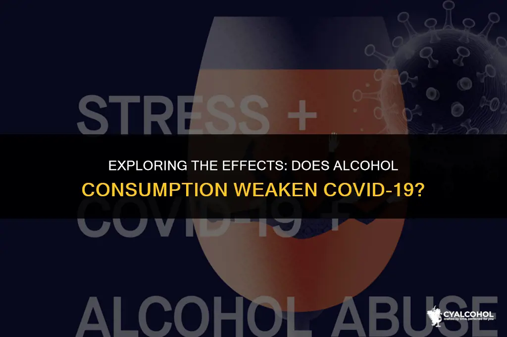 does alcohol weaken the coronavirus