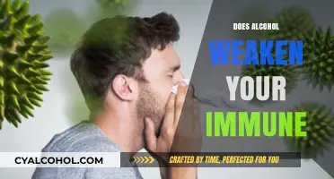 Unraveling the Effects: Does Alcohol Impact Your Immune System?