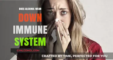 Alcohol's Impact: How Drinking Weakens Your Immune System Over Time