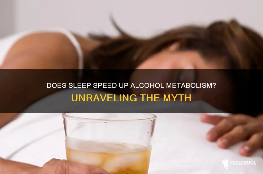does alcohol wear off faster when you sleep
