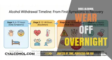 Understanding Alcohol Metabolism: Does It Really Wear Off Overnight?