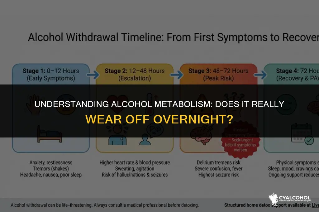 does alcohol wear off overnight