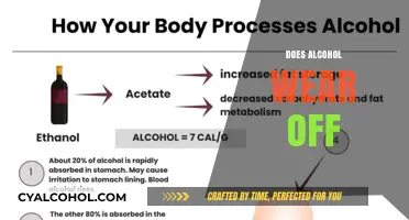 Does Alcohol Wear Off? Understanding Metabolism and Sobering Up Safely