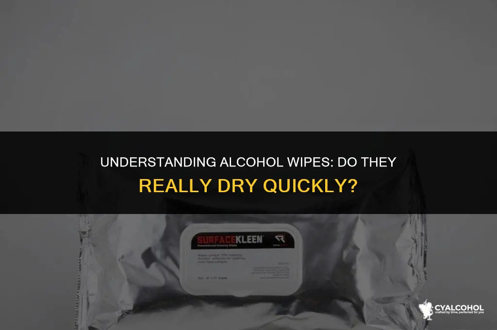 does alcohol wipes dry time