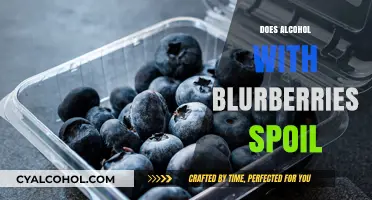 Exploring the Shelf Life of Blueberry-Infused Alcoholic Beverages