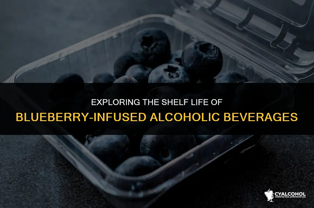 does alcohol with blurberries spoil