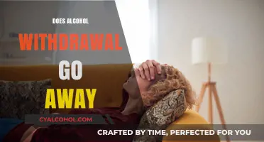 Navigating Sobriety: Can Alcohol Withdrawal Symptoms Be Overcome?