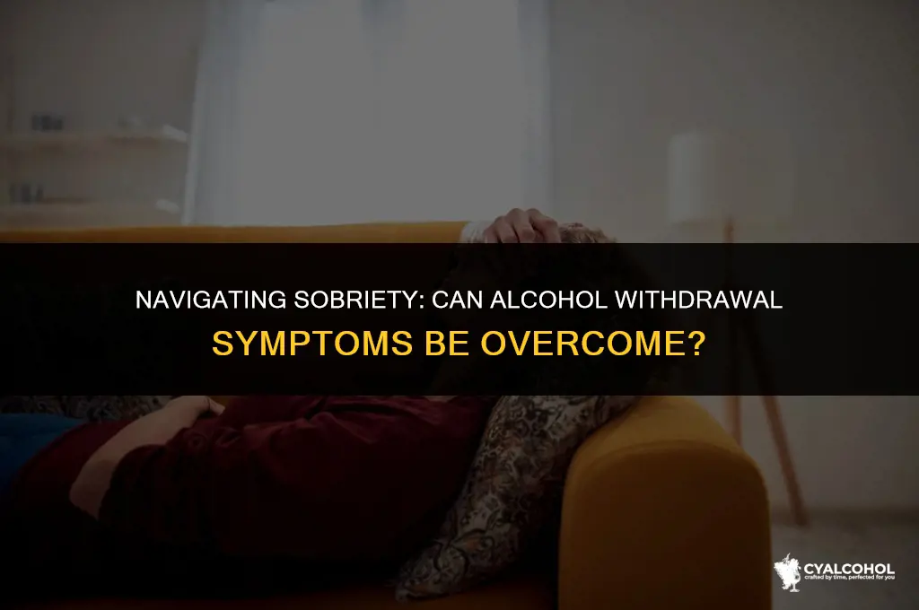 does alcohol withdrawal go away