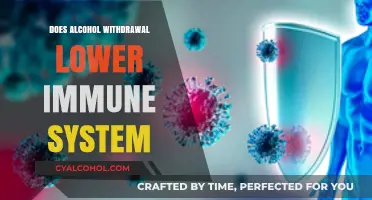 Alcohol Withdrawal's Impact: Does It Weaken Your Immune System?
