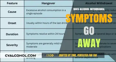 Overcoming Alcohol Withdrawal: Can Symptoms Disappear Over Time?
