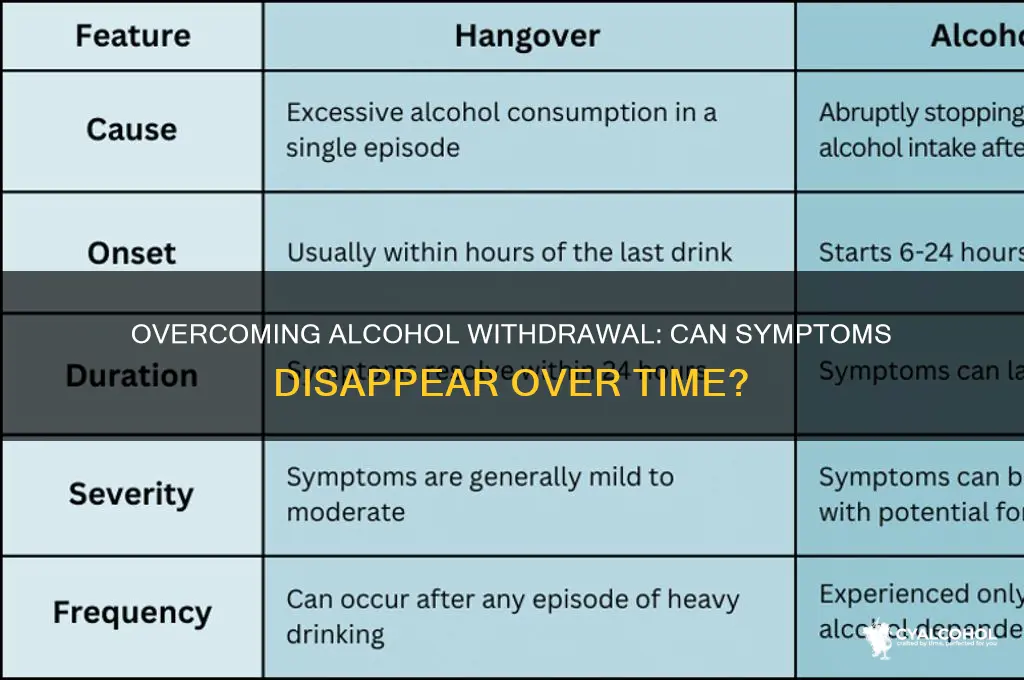 does alcohol withdrawal symptoms go away