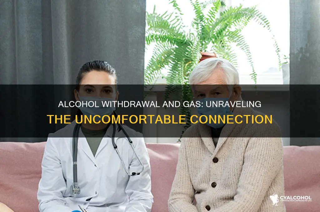 does alcohol withdrawals give you gas