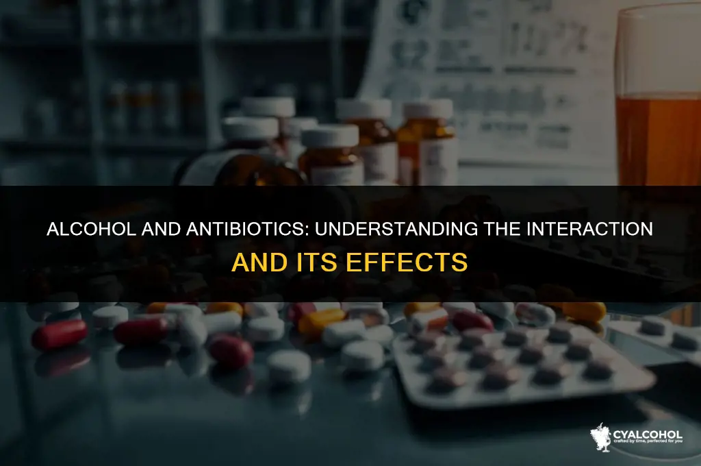 does alcohol work against antibiotics