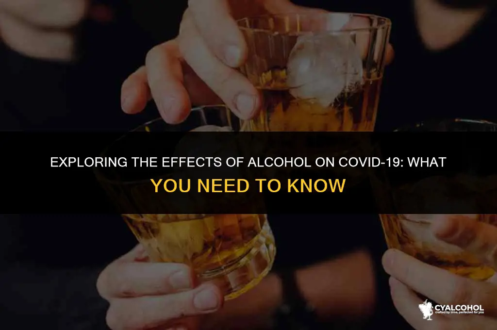 does alcohol work against corona