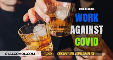 Exploring Alcohol's Effects: Does It Combat COVID-19?