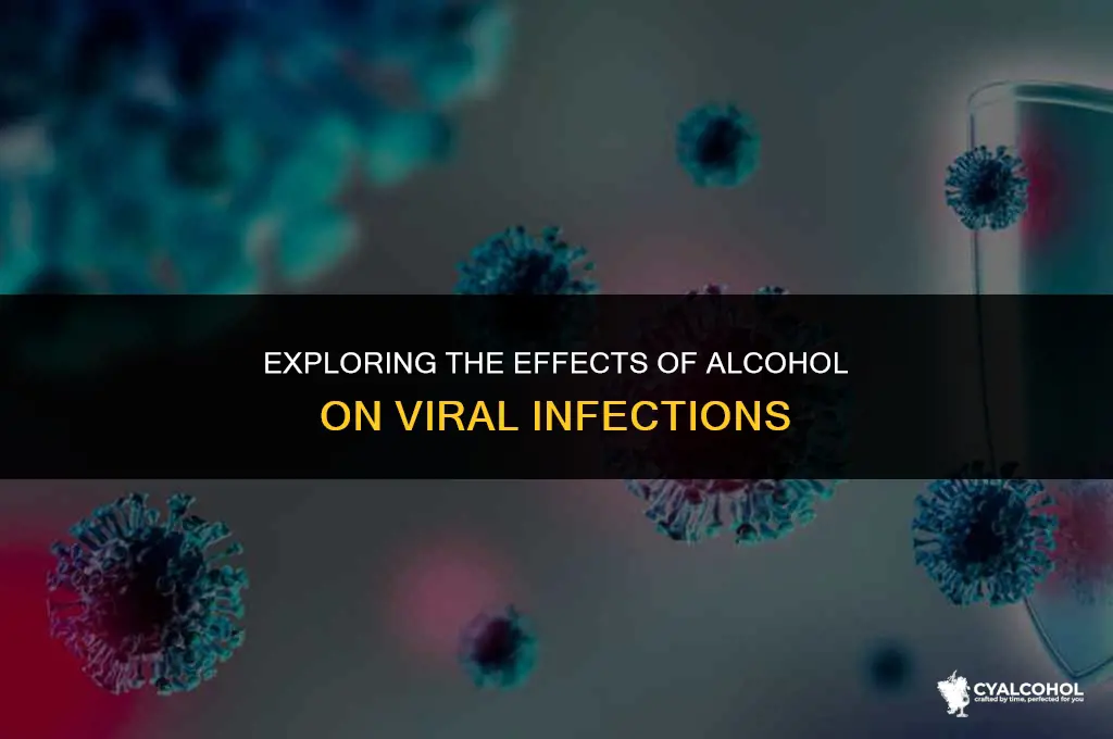 does alcohol work against virus