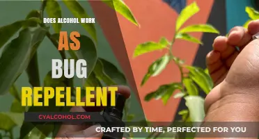 Alcohol as Bug Repellent: Myth or Effective Outdoor Hack?