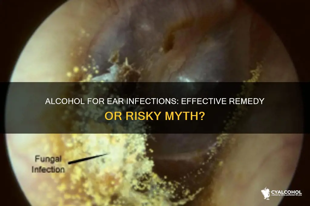 does alcohol work for ear infections