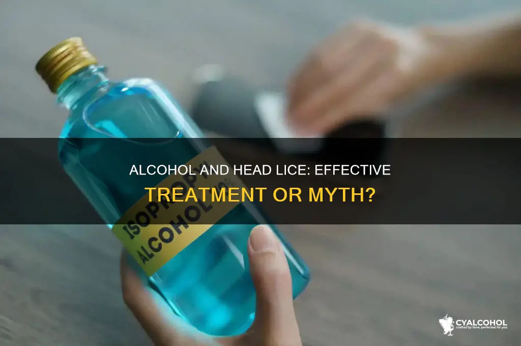 does alcohol work for head lice