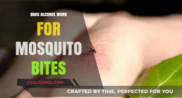 Alcohol for Mosquito Bites: Effective Remedy or Just a Myth?