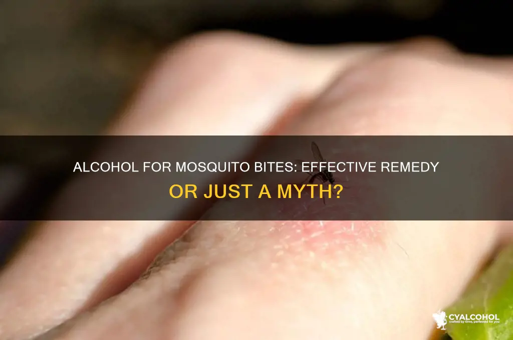 does alcohol work for mosquito bites