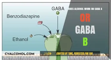 Alcohol's Effect on GABA: A or B?