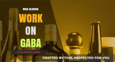 Exploring the Effects of Alcohol on GABA: A Comprehensive Guide