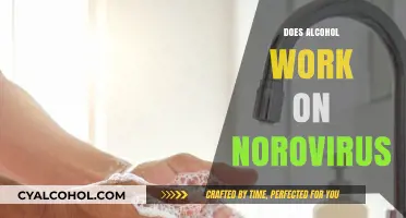 Exploring the Effects of Alcohol on Norovirus: What You Need to Know