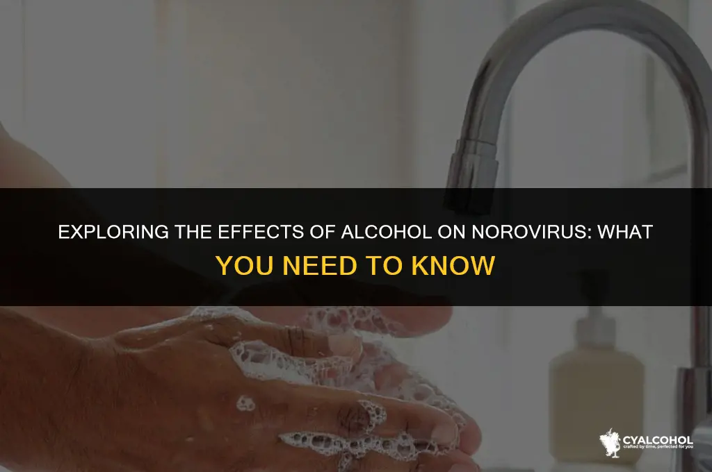does alcohol work on norovirus