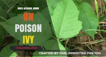 Alcohol and Poison Ivy: Effective Remedy or Myth?