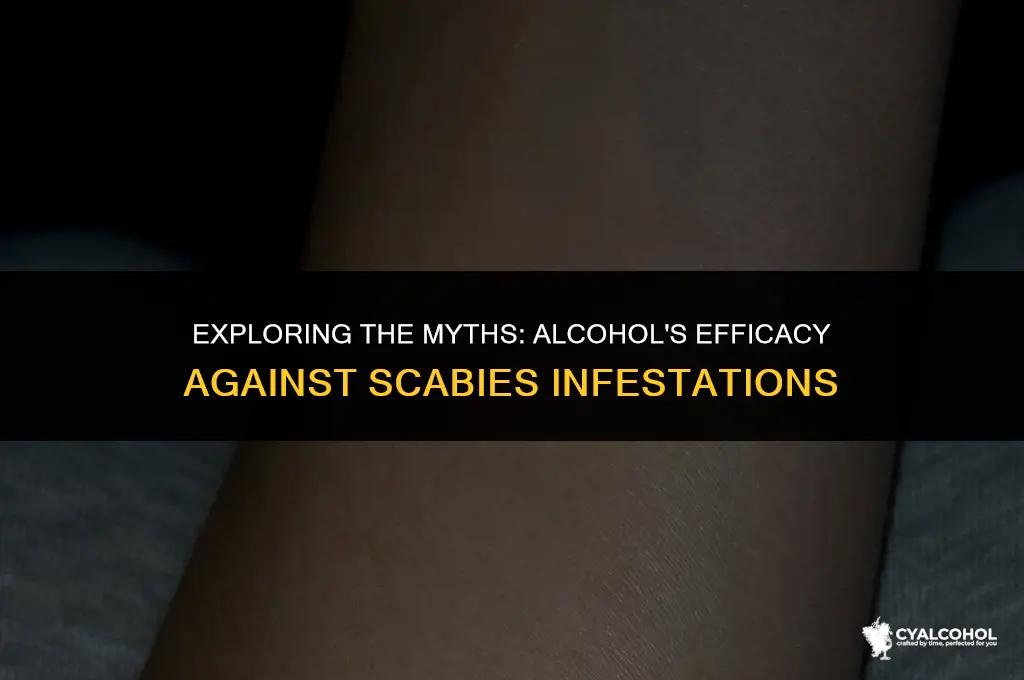 does alcohol work on scabies