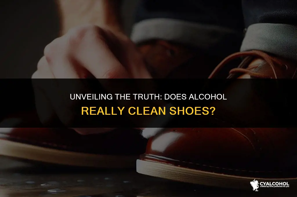 does alcohol work on shoes