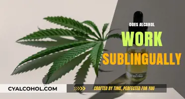 Can Alcohol Be Absorbed Sublingually? Exploring the Science and Myths
