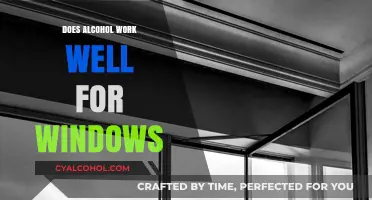 Alcohol and Windows: Effective Cleaning or Risky Myth?
