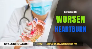 Alcohol and Heartburn: Unraveling the Link to Acid Reflux Symptoms