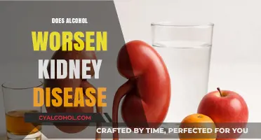 Exploring the Impact of Alcohol on Kidney Health: What You Need to Know