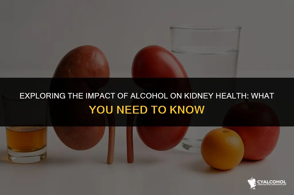 does alcohol worsen kidney disease