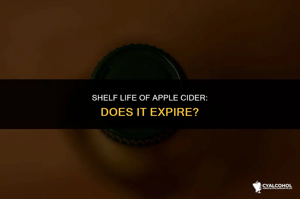 does alcoholic apple cider expire