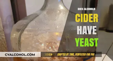 Exploring the Yeast Content in Alcoholic Cider: Facts and Myths