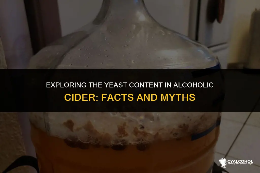 does alcoholic cider have yeast