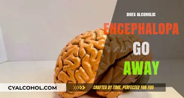 Reversing the Effects: Can Alcoholic Encephalopathy Be Cured?