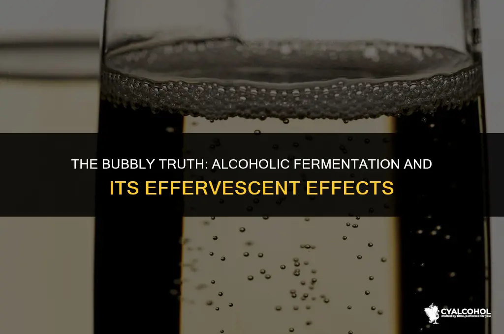does alcoholic fermentation create bubbles