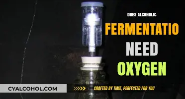 Unveiling the Truth: Alcoholic Fermentation and Its Oxygen Independence