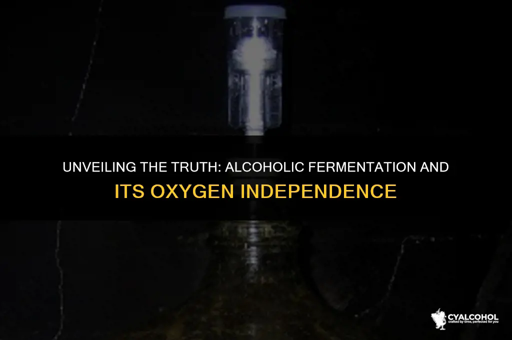 does alcoholic fermentation need oxygen